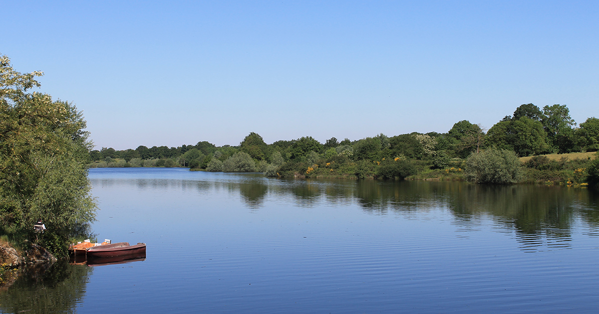 Lac de la Bultière à La Boissière-de-Montaigu