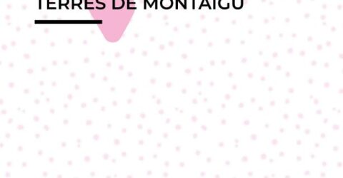 Agenda été 2023 Terres de Montaigu